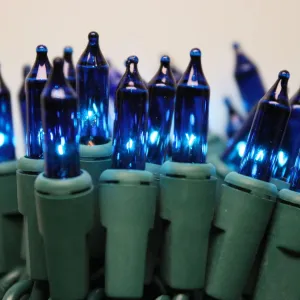 50-bulb Blue Mini Lights, 6" Spacing, Green Wire