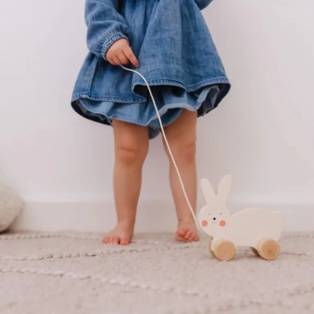 Bubble Wooden Rabbit Pull Along (18m )