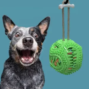 Dog Interactive Tooth Cleaning Toy Balls