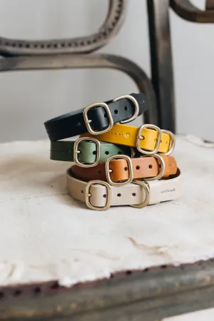 Fir Leather Dog Collar